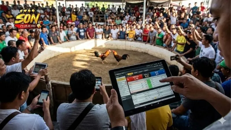 cach-tinh-tien-thuong-dua-tren-ty-le-odds