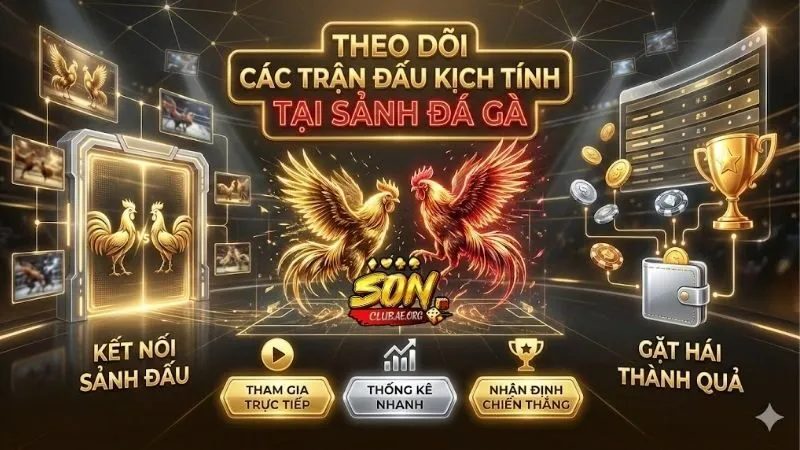 da-ga-sonclub-theo-doi-cac-tran-dau-kich-tinh-nhat